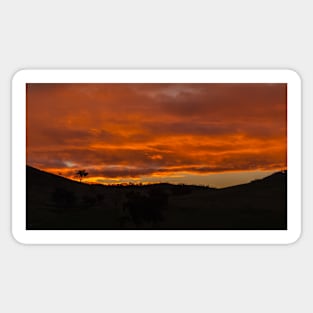 Orange Sunset Sticker